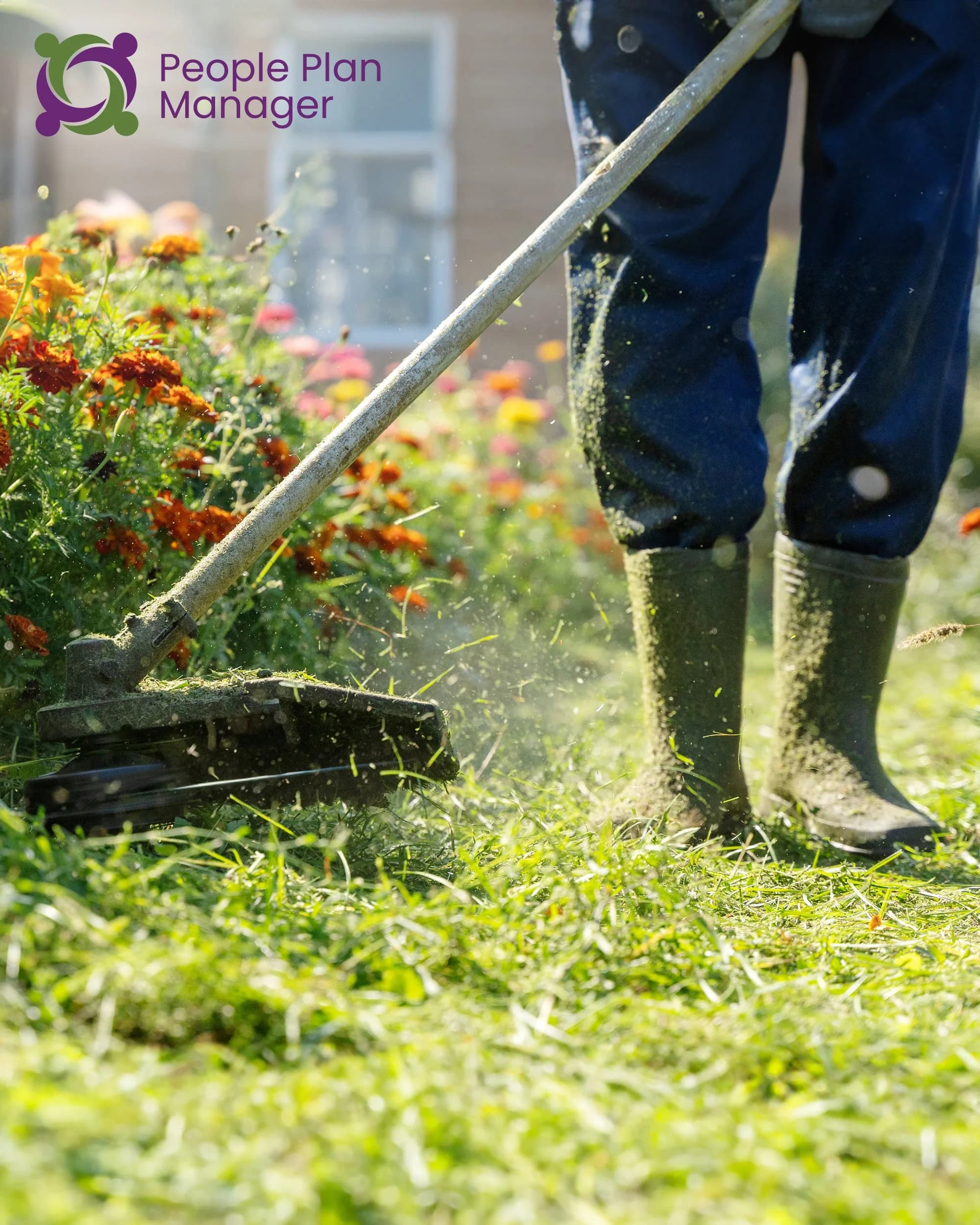 Yard Maintenance