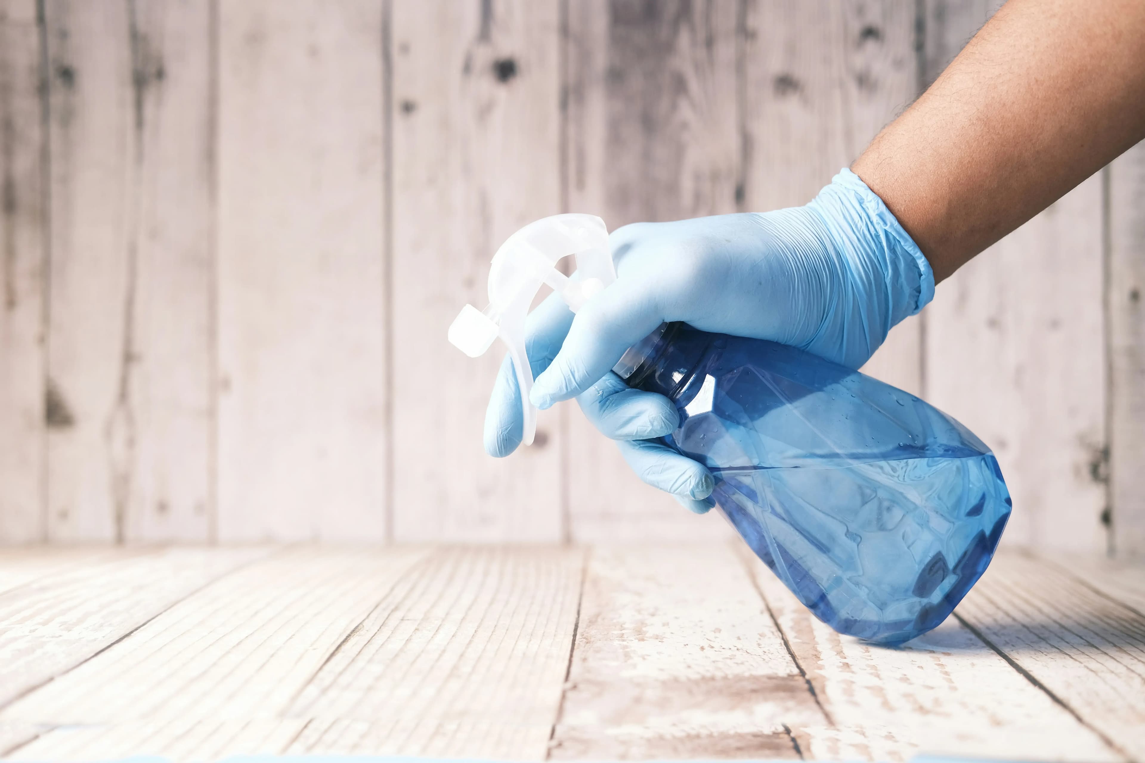 Professional cleaning team with equipment in front of a house