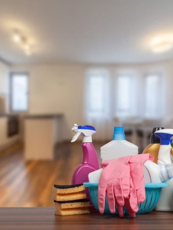 Domestic Home Care Support